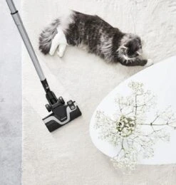 Rowenta Silence Force Allergy+ RO7740 - Stofzuiger Met Zak -Aanbiedingen Frothwerk Winkel 1140x1200 1