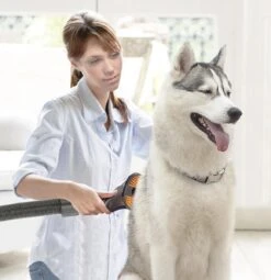 TurboTronic VS180 Draadloze Steelstofzuiger Met Handstofzuiger - Rood -Aanbiedingen Frothwerk Winkel 1161x1200 4