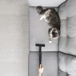 Rowenta Silence Force Allergy+ RO7740 - Stofzuiger Met Zak -Aanbiedingen Frothwerk Winkel 1200x1200 1232