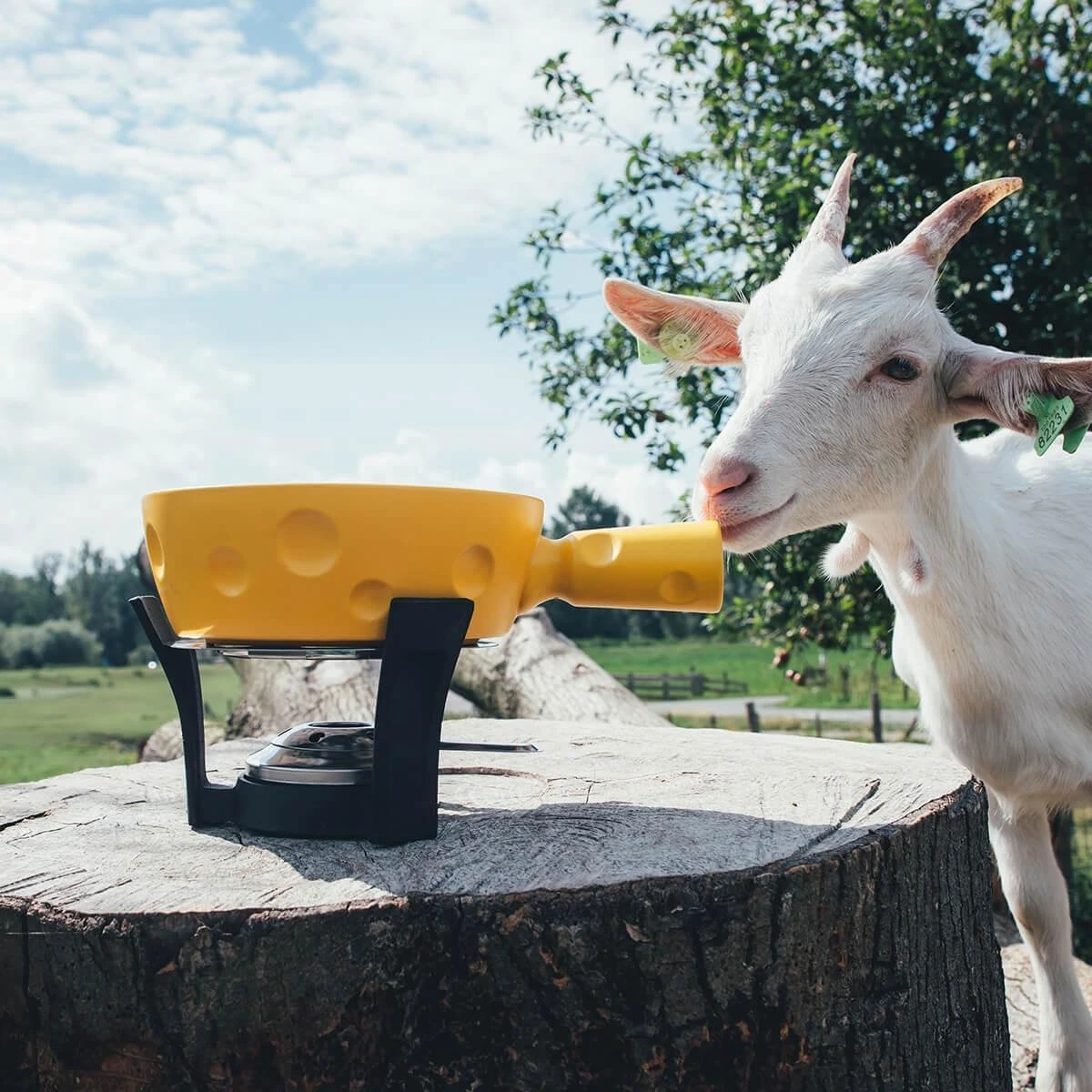 Boska Fondueset Super Cheesy - Kaasvormige Fonduepan - Vaatwasserbestendig - Geel - 1,3 L 6 Boska Fondueset Super Cheesy - Kaasvormige Fonduepan - Vaatwasserbestendig - Geel - 1,3 L - Afbeelding 6
