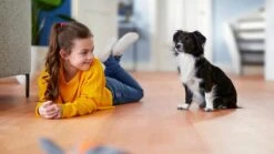 Philips 2000 Series XB2125/09 - Stofzuiger Zonder Zak -Aanbiedingen Frothwerk Winkel 1200x674 1