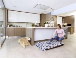 Black & Decker BLACK+DECKER DVA325JP07-QW - Kruimeldief - 10.8V - 500ml Opvangbank -Aanbiedingen Frothwerk Winkel 1200x916 5